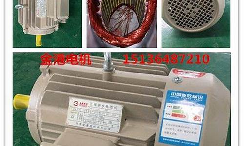 国标电机价格表(国标电机价格表图片)_https://www.gzyhshgzzx.com_郑商所_第1张