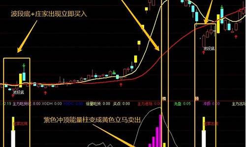 300万买的指标源码(指标源码怎么导入手机炒股软件)_https://www.gzyhshgzzx.com_广期所_第1张
