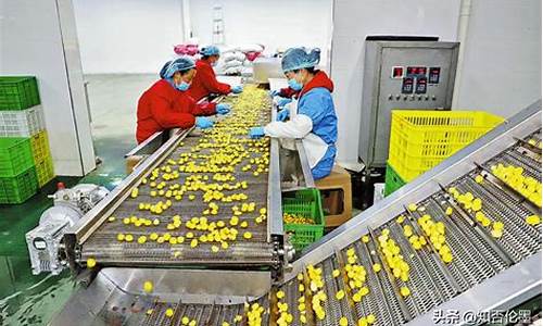 如何开个代加工工厂(想开代加工厂怎么找厂家)_https://www.gzyhshgzzx.com_中金所_第1张