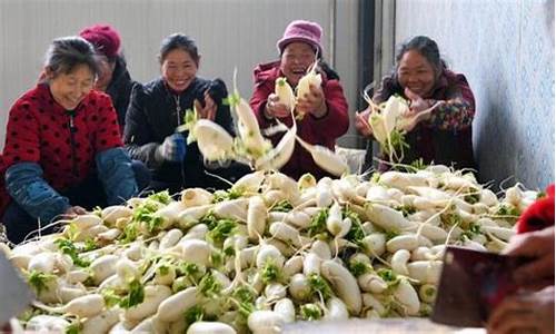农村15个致富项目(最有潜力农村致富项目)_https://www.gzyhshgzzx.com_大商所_第1张