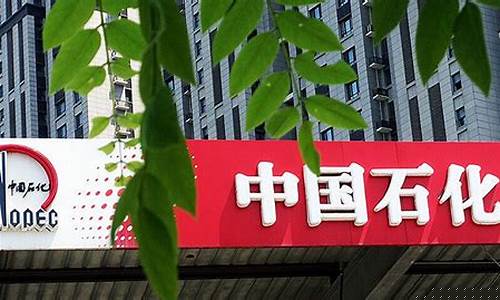 中石化期货亏(中石化期货交易亏损)_https://www.gzyhshgzzx.com_上期所_第1张