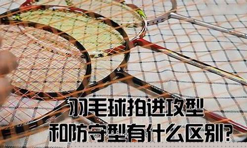 进攻型板块和防守型板块(羽毛球防守型和进攻型)_https://www.gzyhshgzzx.com_上期所_第1张