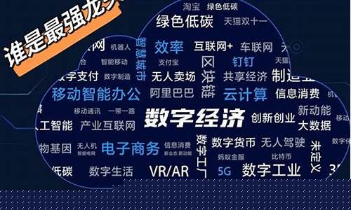 数字经济真正龙头云赛(数字经济真正龙头股2021)_https://www.gzyhshgzzx.com_广期所_第1张