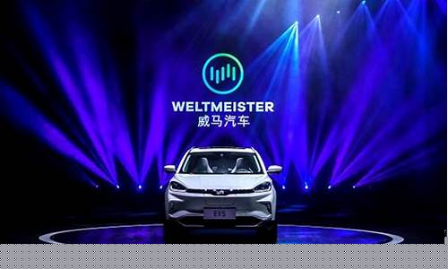 威马汽车股份有限公司(威马汽车小电瓶没电怎么解决)_https://www.gzyhshgzzx.com_大商所_第1张