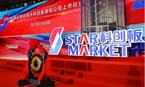 2020年科创板上市公司(科创板谁是真正的龙头)_https://www.gzyhshgzzx.com_中金所_第1张