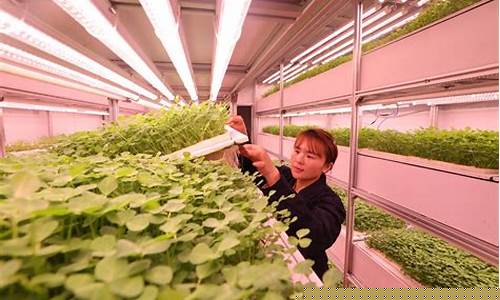 新型农业种植技术(新型农业种植技术的发展趋势)_https://www.gzyhshgzzx.com_上期所_第1张