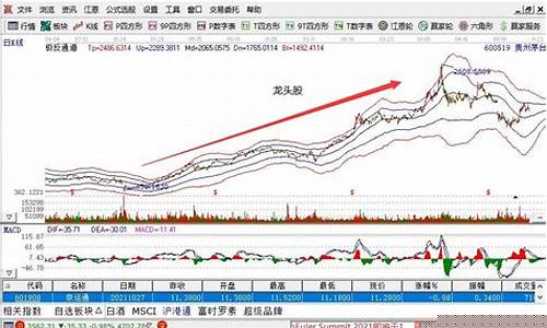 如何快速找到龙头股(如何快速找到龙头股的股票)_https://www.gzyhshgzzx.com_上期能源_第1张