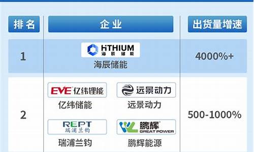 中国十大锂电池企业排名(中国十大锂电池企业排名前十)_https://www.gzyhshgzzx.com_大商所_第1张