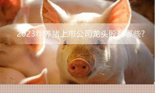 养猪股票有哪些龙头股(猪肉龙头股排名前十名)_https://www.gzyhshgzzx.com_郑商所_第1张
