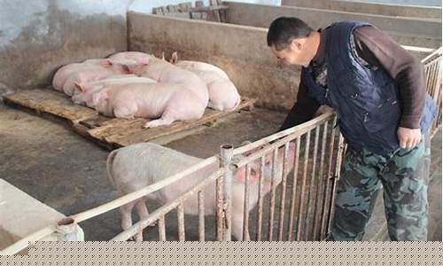 农民养殖场能强拆吗(农村养殖场被强拆了怎么办)_https://www.gzyhshgzzx.com_广期所_第1张