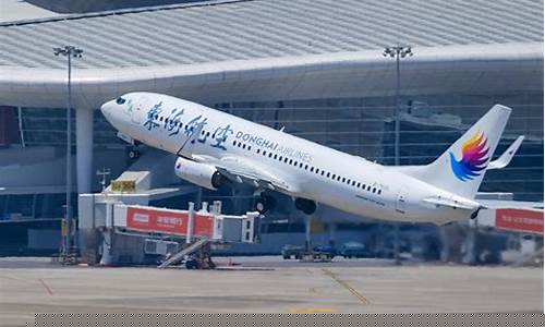 东海航空(东海航空电话人工服务24小时)_https://www.gzyhshgzzx.com_上期所_第1张