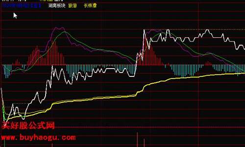 分时图的macd(分时图的macd红绿柱有多少根)_https://www.gzyhshgzzx.com_广期所_第1张