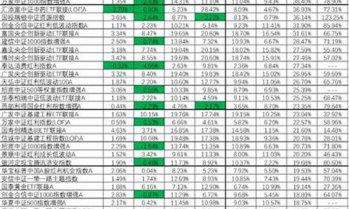 中国最好的指数基金排名前十(中国影响力最大的指数基金)_https://www.gzyhshgzzx.com_上期所_第1张