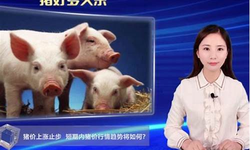 11月份猪价还会涨吗东北(十一月猪价会涨价吗)_https://www.gzyhshgzzx.com_上期所_第1张