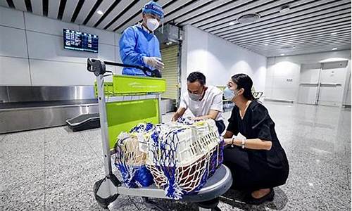 南航宠物托运(南航宠物托运航空箱要求)_https://www.gzyhshgzzx.com_上期所_第1张