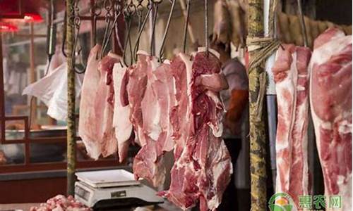 今天猪肉多少一斤啊(今天猪肉多少钱啊)_https://www.gzyhshgzzx.com_上期能源_第1张